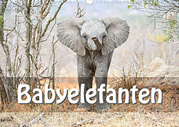 Kalender Babyelefanten (Wandkalender 2023 DIN A3 quer) von ROBERT STYPPA