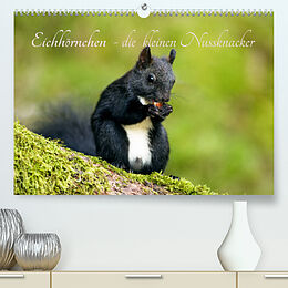Kalender Eichhörnchen - die kleinen Nussknacker (Premium, hochwertiger DIN A2 Wandkalender 2023, Kunstdruck in Hochglanz) von Alena Holtz
