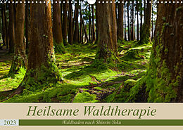 Kalender Heilsame Waldtherapie - Waldbaden nach Shinrin Yoku (Wandkalender 2023 DIN A3 quer) von Janita Webeler