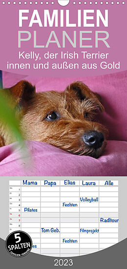 Kalender Familienplaner Kelly, der Irish Terrier - innen und außen aus Gold (Wandkalender 2023 , 21 cm x 45 cm, hoch) von Claudia Schimon