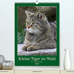 Kalender Kleine Tiger im Wald (Premium, hochwertiger DIN A2 Wandkalender 2023, Kunstdruck in Hochglanz) von Roland Brack