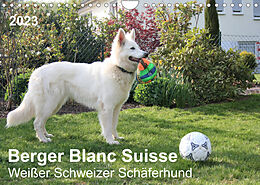 Kalender Berger Blanc Suisse - Weißer Schweizer Schäferhund (Wandkalender 2023 DIN A4 quer) von Margarete Brunhilde Kesting