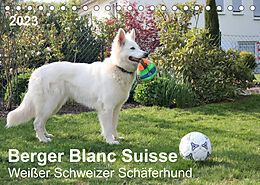 Kalender Berger Blanc Suisse - Weißer Schweizer Schäferhund (Tischkalender 2023 DIN A5 quer) von Margarete Brunhilde Kesting