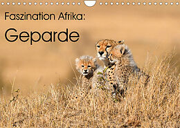 Kalender Faszinaton Afrika: Geparde (Wandkalender 2023 DIN A4 quer) von Elmar Weiss