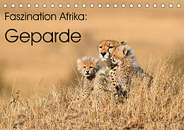 Kalender Faszinaton Afrika: Geparde (Tischkalender 2023 DIN A5 quer) von Elmar Weiss