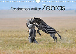Kalender Faszination Afrika: Zebras (Wandkalender 2023 DIN A4 quer) von Elmar Weiss