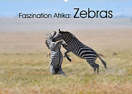 Kalender Faszination Afrika: Zebras (Wandkalender 2023 DIN A2 quer) von Elmar Weiss