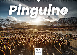 Kalender Pinguine - Die sympathischen Frack-Träger (Wandkalender 2023 DIN A3 quer) von Benjamin Lederer