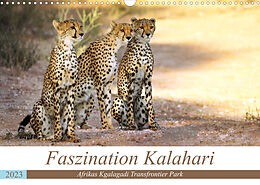 Kalender Faszination Kalahari (Wandkalender 2023 DIN A3 quer) von Wibke Woyke