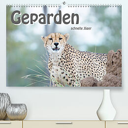 Kalender Geparden - schnelle Jäger (Premium, hochwertiger DIN A2 Wandkalender 2023, Kunstdruck in Hochglanz) von ROBERT STYPPA