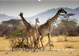 Kalender Serengeti - auf den Spuren eines Zoologen (Wandkalender 2023 DIN A2 quer) von Jürgen Maaß