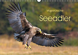 Kalender Majestätische Seeadler (Wandkalender 2023 DIN A3 quer) von Elmar Weiss