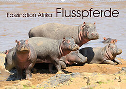 Kalender Faszination Afrika: Flusspferde (Wandkalender 2023 DIN A2 quer) von Elmar Weiss