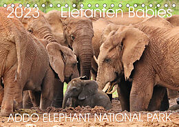 Kalender ADDO ELEPHANT NATIONAL PARK Elefanten Babies (Tischkalender 2023 DIN A5 quer) von Barbara Fraatz