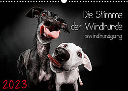 Kalender Die Stimme der Windhunde (Wandkalender 2023 DIN A3 quer) von Marcus Gier