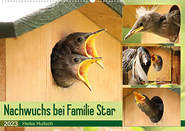 Kalender Nachwuchs bei Familie Star (Wandkalender 2023 DIN A2 quer) von Heike Hultsch