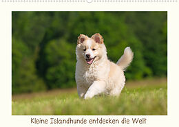 Kalender Kleine Islandhunde entdecken die Welt (Wandkalender 2023 DIN A2 quer) von Monika Scheurer