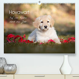 Kalender Hovawart - Auf vier Pfoten durch das Jahr (Premium, hochwertiger DIN A2 Wandkalender 2023, Kunstdruck in Hochglanz) von Ulla Moswald