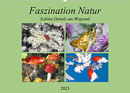 Kalender Faszination Natur - Schöne Details am Wegrand (Wandkalender 2023 DIN A2 quer) von Lothar Reupert