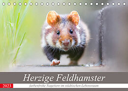 Kalender Herzige Feldhamster - farbenfrohe Nagetiere im städtischen LebensraumAT-Version (Tischkalender 2023 DIN A5 quer) von Perdita Petzl