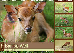 Kalender Bambis Welt (Wandkalender 2023 DIN A2 quer) von Heike Hultsch