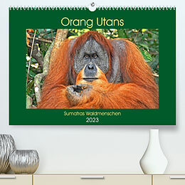 Kalender Orang Utans Sumatras Waldmenschen (Premium, hochwertiger DIN A2 Wandkalender 2023, Kunstdruck in Hochglanz) von Anja Edel