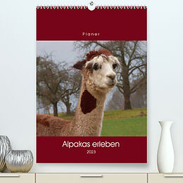 Kalender Alpakas erleben (Premium, hochwertiger DIN A2 Wandkalender 2023, Kunstdruck in Hochglanz) von Angelika Keller