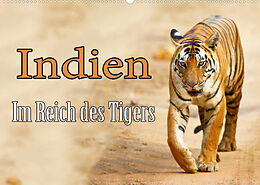 Kalender Indien - Im Reich des Tigers (Wandkalender 2023 DIN A2 quer) von Stefan Schütter