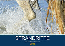 Kalender STRANDRITTE (Wandkalender 2023 DIN A3 quer) von Petra Eckerl Tierfotografie www.petraeckerl.com