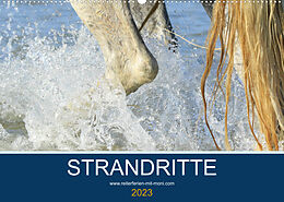 Kalender STRANDRITTE (Wandkalender 2023 DIN A2 quer) von Petra Eckerl Tierfotografie www.petraeckerl.com