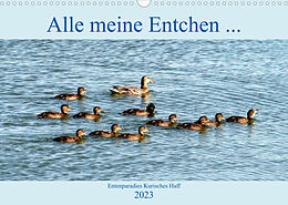 Kalender Alle meine Entchen ... Entenparadies Kurisches Haff (Wandkalender 2023 DIN A3 quer) von Henning von Löwis of Menar