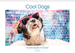 Kalender Cool Dogs - Hunde-Spaß im Studio (Wandkalender 2023 DIN A3 quer) von Sonja Teßen