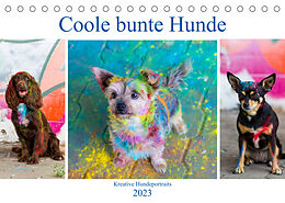 Kalender Coole bunte Hunde (Tischkalender 2023 DIN A5 quer) von Fotodesign Verena Scholze