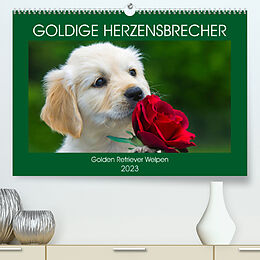 Kalender Goldige Herzensbrecher - Golden Retriever Welpen (Premium, hochwertiger DIN A2 Wandkalender 2023, Kunstdruck in Hochglanz) von Sigrid Starick