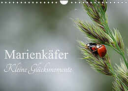 Kalender Marienkäfer - kleine Glücksmomente (Wandkalender 2023 DIN A4 quer) von Karin Dederichs