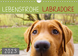 Kalender Lebensfrohe Labradore (Wandkalender 2023 DIN A4 quer) von Alexandra Kurz