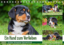 Kalender Ein Hund zum Verlieben - Großer Schweizer Sennenhund (Tischkalender 2023 DIN A5 quer) von N N