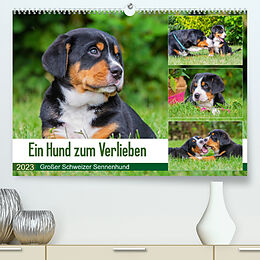 Kalender Ein Hund zum Verlieben - Großer Schweizer Sennenhund (Premium, hochwertiger DIN A2 Wandkalender 2023, Kunstdruck in Hochglanz) von N N