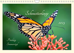 Kalender Wunderwelt der Schmetterlinge 2023 Prächtige SommervögelCH-Version (Wandkalender 2023 DIN A4 quer) von Lebensfreude Innere Stärke