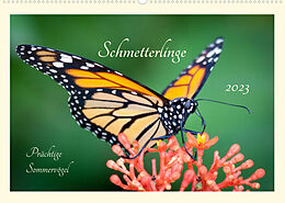 Kalender Wunderwelt der Schmetterlinge 2023 Prächtige SommervögelCH-Version (Wandkalender 2023 DIN A2 quer) von Lebensfreude Innere Stärke