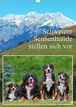 Kalender Schweizer Sennenhunde stellen sich vor (Wandkalender 2023 DIN A3 hoch) von Sigrid Starick
