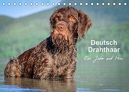 Kalender Deutsch Drahthaar - Ein Jahr mit Max (Tischkalender 2023 DIN A5 quer) von Wuffclick-pic