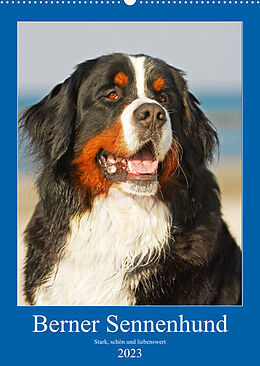 Kalender Berner Sennenhund - stark , schön und liebenswert (Wandkalender 2023 DIN A2 hoch) von Sigrid Starick