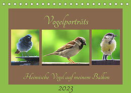 Kalender Vogelporträts - Heimische Vögel auf meinem Balkon (Tischkalender 2023 DIN A5 quer) von Claudia Schimmack