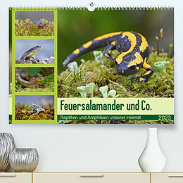 Kalender Feuersalamander und Co. (Premium, hochwertiger DIN A2 Wandkalender 2023, Kunstdruck in Hochglanz) von GUGIGEI