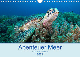 Kalender Abenteuer Unterwasser (Wandkalender 2023 DIN A4 quer) von Claudia Peyer