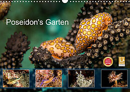Kalender Poseidon's Garten (Wandkalender 2023 DIN A3 quer) von Yvonne &amp; Tilo Kühnast - naturepicsfilms