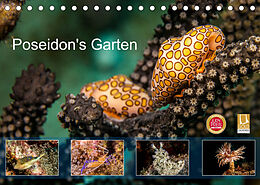 Kalender Poseidon's Garten (Tischkalender 2023 DIN A5 quer) von Yvonne &amp; Tilo Kühnast - naturepicsfilms