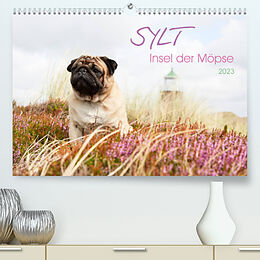 Kalender Sylt - Insel der Möpse (Premium, hochwertiger DIN A2 Wandkalender 2023, Kunstdruck in Hochglanz) von Ole Dodeck