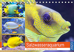 Kalender Salzwasseraquarium. Meeresfische im heimischen Wohnzimmer (Tischkalender 2023 DIN A5 quer) von Rose Hurley